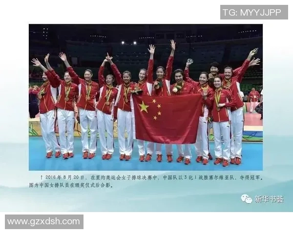 杭州排球队的整体压制革新探索与实践之路全景分析