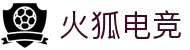 火狐电竞·(中国区)电子竞技平台